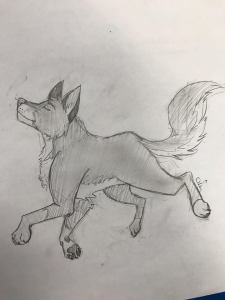 26857479_1810471892583299_234702825_n