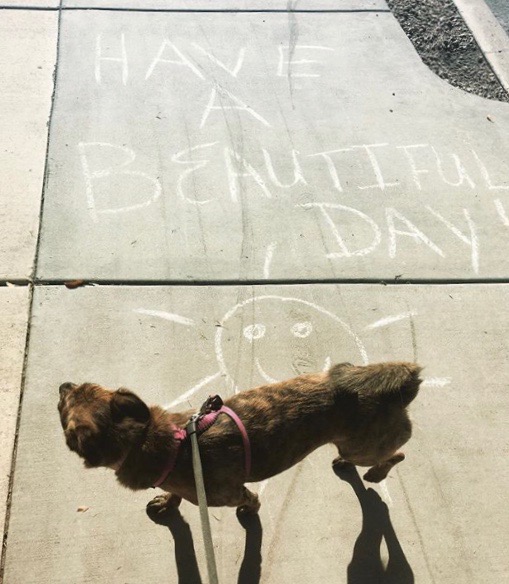 Screen Shot 2019-03-26 at 3.23.11 PM